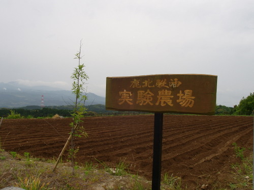 鹿北製油実験農場。鹿北製油は国産原料にこだわります